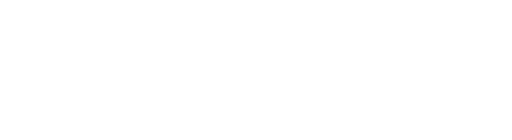 V&V Bravo