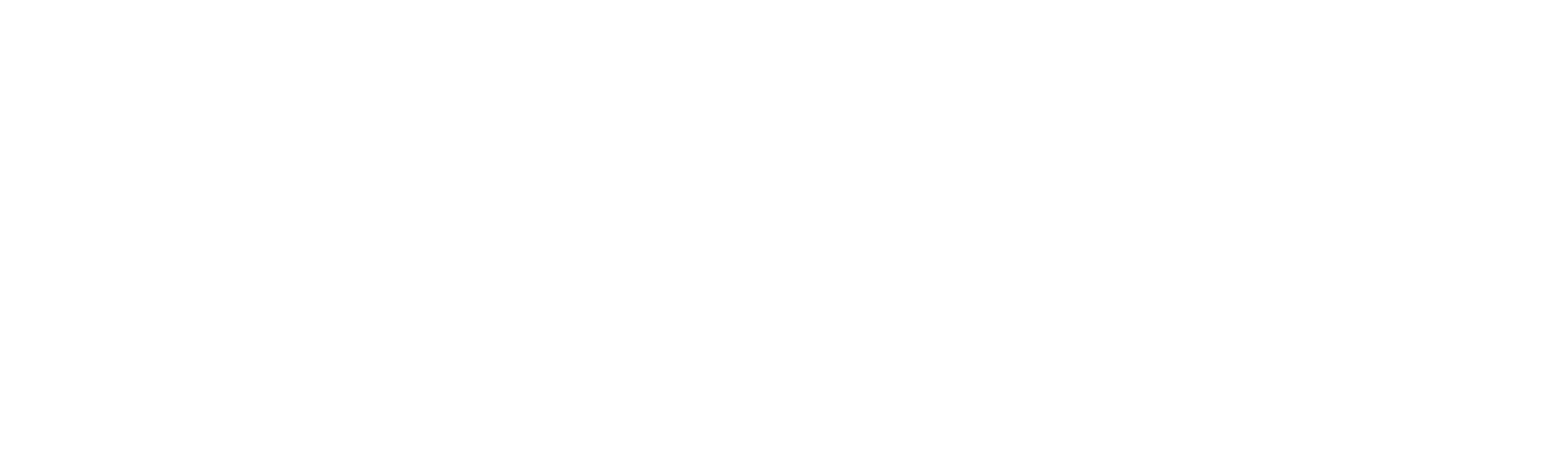 V&V Bravo